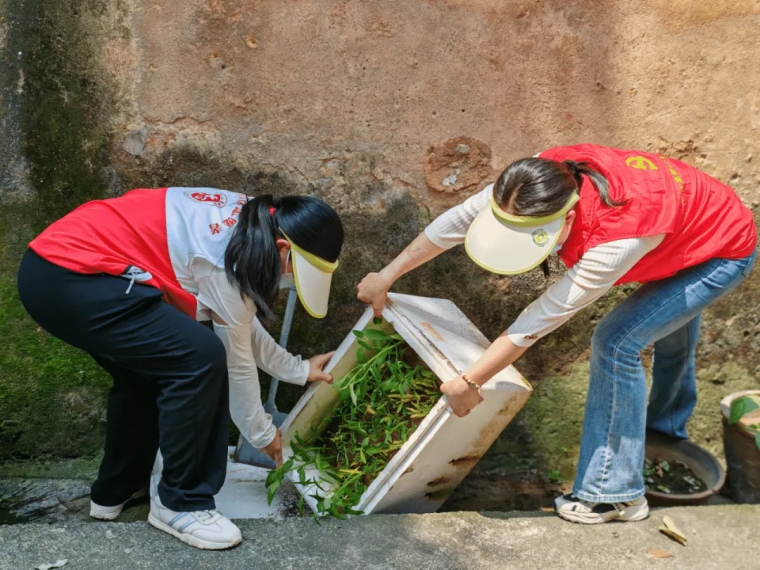 文明实践 净美城市丨防范基孔肯雅热,肇庆这群人在行动